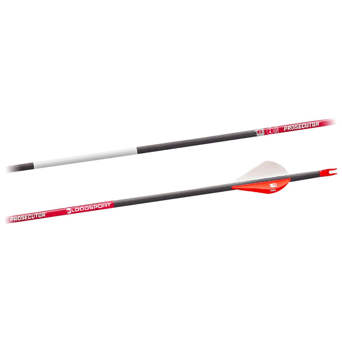 BLOODSPORT PROSECUTOR 1 DOZEN ARROW SHAFTS main photo.