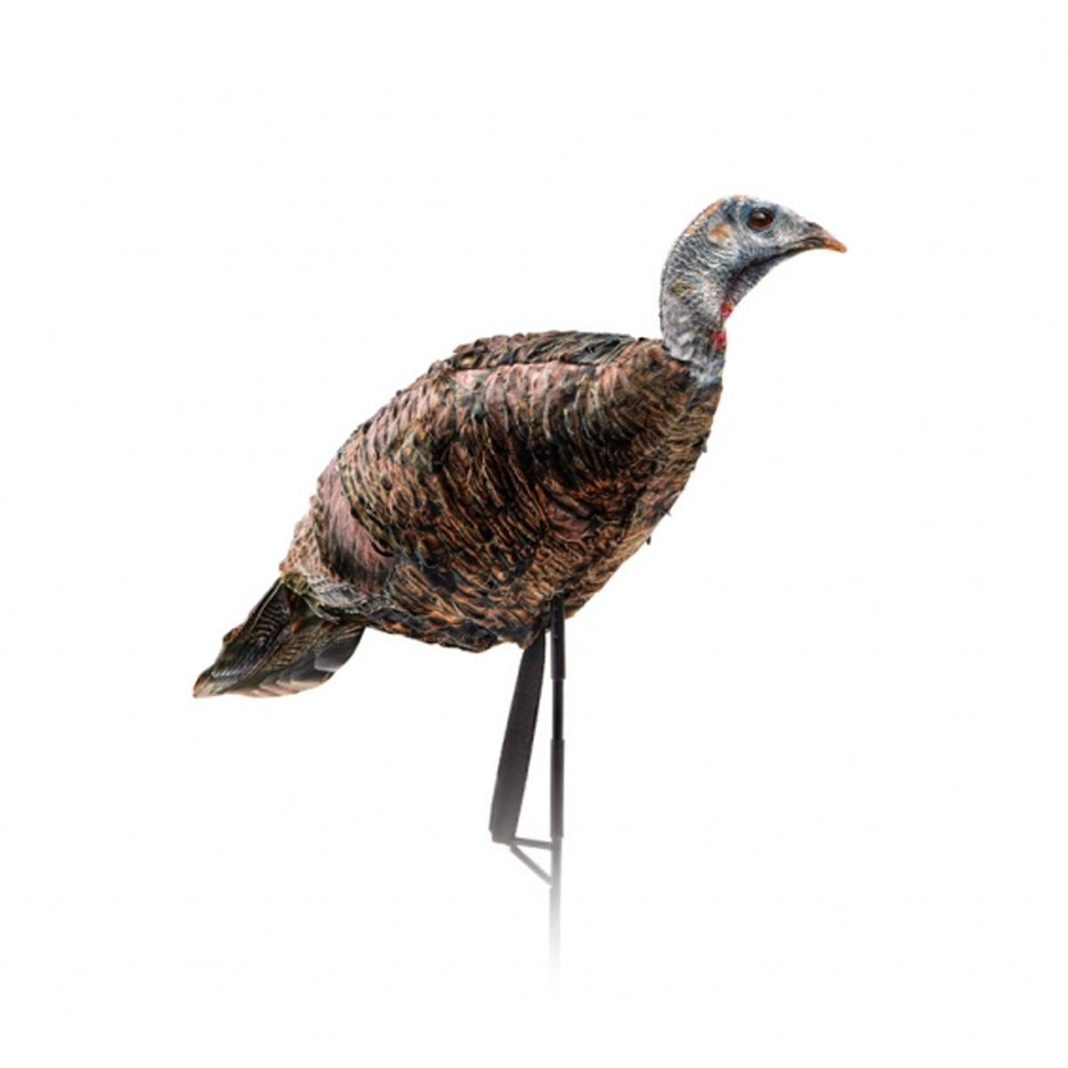 MONTANA DECOY MISS PURRFECT XD TURKEY DECOY - REFURB main photo.
