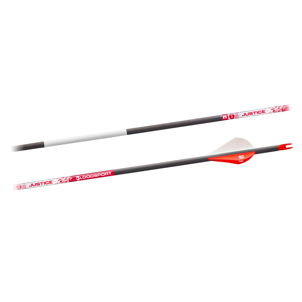 BLOODSPORT JUSTICE 1 DOZEN FLETCHED ARROWS main photo.