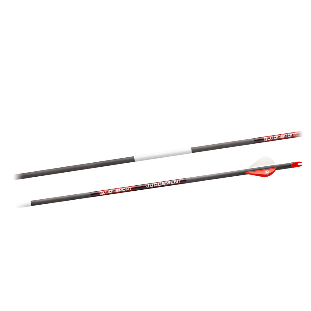 BLOODSPORT JUDGEMENT 1 DOZEN FLETCHED ARROWS main photo.