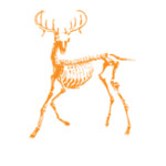 Dead Deer Logo