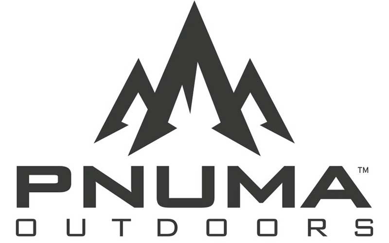 Pnuma Logo