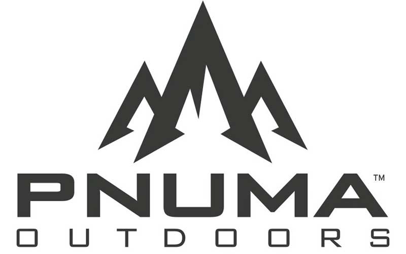 About Pnuma