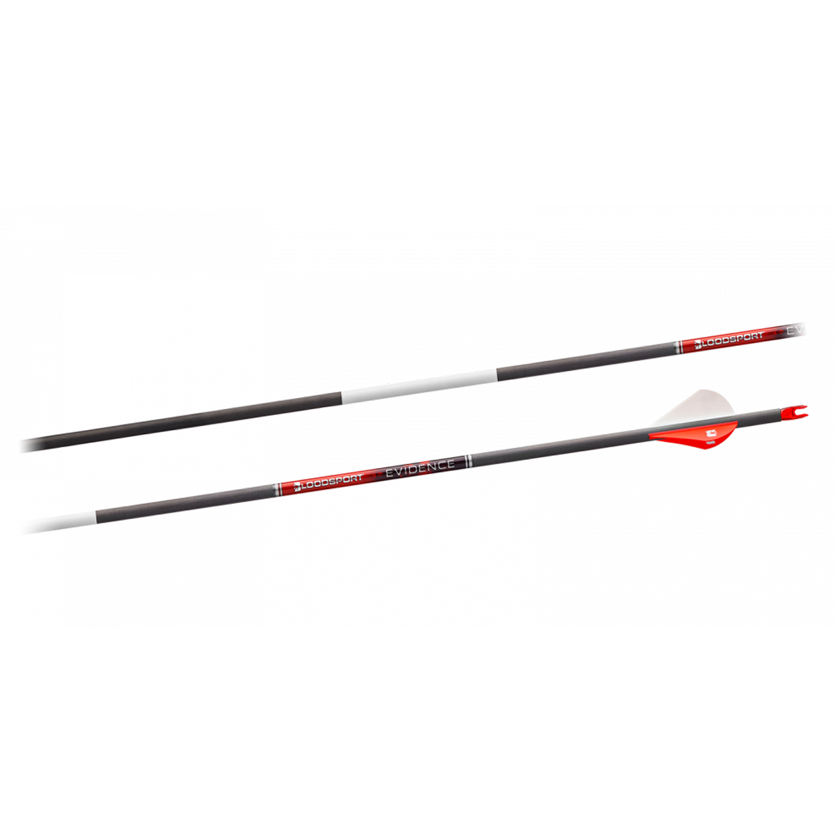 BLOODSPORT EVIDENCE ARROWS WITH BLAZER VANES - 6 PACK Photo