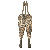 Product Thumbnail Photo