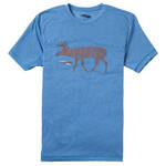 Product Thumbnail Photo