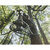 HAWK RIVAL LITE HANG ON TREESTAND - LIFESTYLE