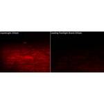 Hme Coyote Light Pro Predator Red Led Light - Comparison