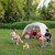 CORE-6-PERSON-DOME-TENT-WITH-VESTIBULE---lifestyle