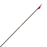 Gold Tip Kinetic Dozen Fletched Arrows