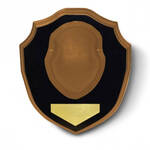 Product Thumbnail Photo