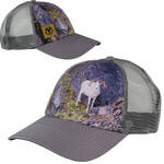 Product Thumbnail Photo