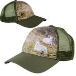 Product Thumbnail Photo