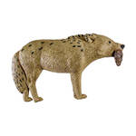 Product Thumbnail Photo