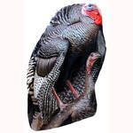 Product Thumbnail Photo