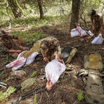Ovis Sacks Game Bags Field Use
