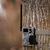 Product Thumbnail Photo