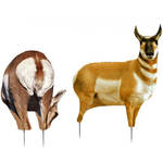 Product Thumbnail Photo