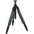 Product Thumbnail Photo