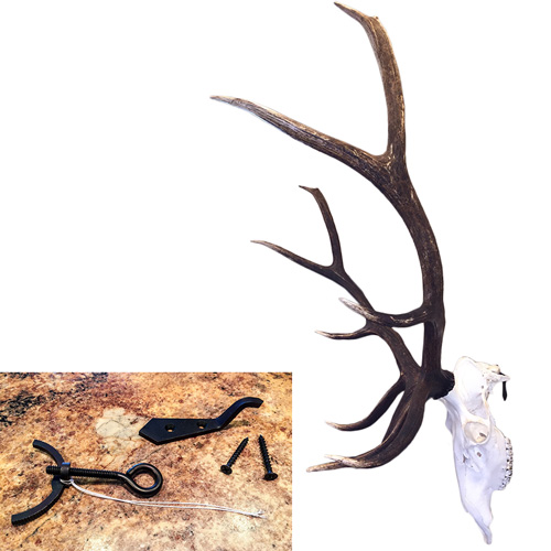 DEAD ON DISPLAY LARGE EURO MOUNT HANGER