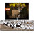 Product Thumbnail Photo
