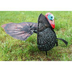 Product Thumbnail Photo