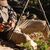 STONE GLACIER 206 HUNTING PANTS - SITTING