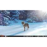 Wildgame Innovations Orbit 360 Cellular Trail Camera - Coyote