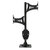 SKULL HOOKER TROPHY TREE SHOULDER MOUNT Photo
