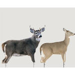 Product Thumbnail Photo