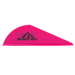 Bohning-Black-Sky-2-Inch-Vane-100-Pack-Hot-Pink
