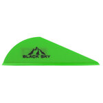 Bohning-Black-Sky-2-Inch-Vane-100-Pack-Kiwi