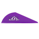 Bohning-Black-Sky-2-Inch-Vane-100-Pack-Purple