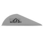 Bohning-Black-Sky-2-Inch-Vane-100-Pack-Silver