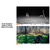 BUSHNELL 24MP CORE PRIME LOW GLOW TRAIL CAMERA COMBO - CAMERA IMAGES