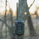 Product Thumbnail Photo