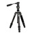 BLACKOVIS TREELINE CARBON FIBER SITTING TRIPOD W/ PANHEAD Photo