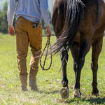 Blackovis 3d Field Pant - Hzwood Lifestyle Back