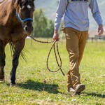 Blackovis 3d Field Pant - Hzwood Lifestyle