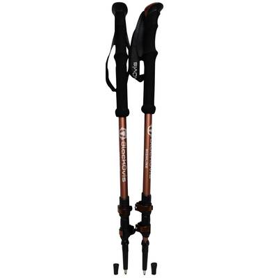 BLACKOVIS HIGHLINE TREKKING POLES Photo