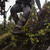 DANNER VITAL NON-INSULATED HUNTING BOOTS - LIFESTYLE