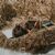 BANDED WATERTIGHT DEXTERITY DECOY GLOVES - in the field