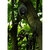 HAWK SPEED RETRACT HOIST REEL - TREE