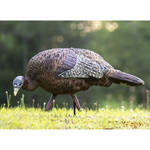 Avian-x Lcd Feeder Hen Turkey Decoy - Lifestyle